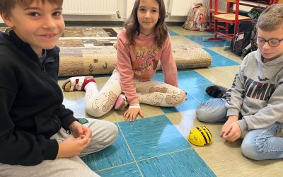 Bee-Bots kennenlernen